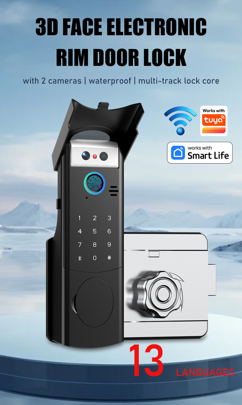 Dual-camera module + doorbell button
