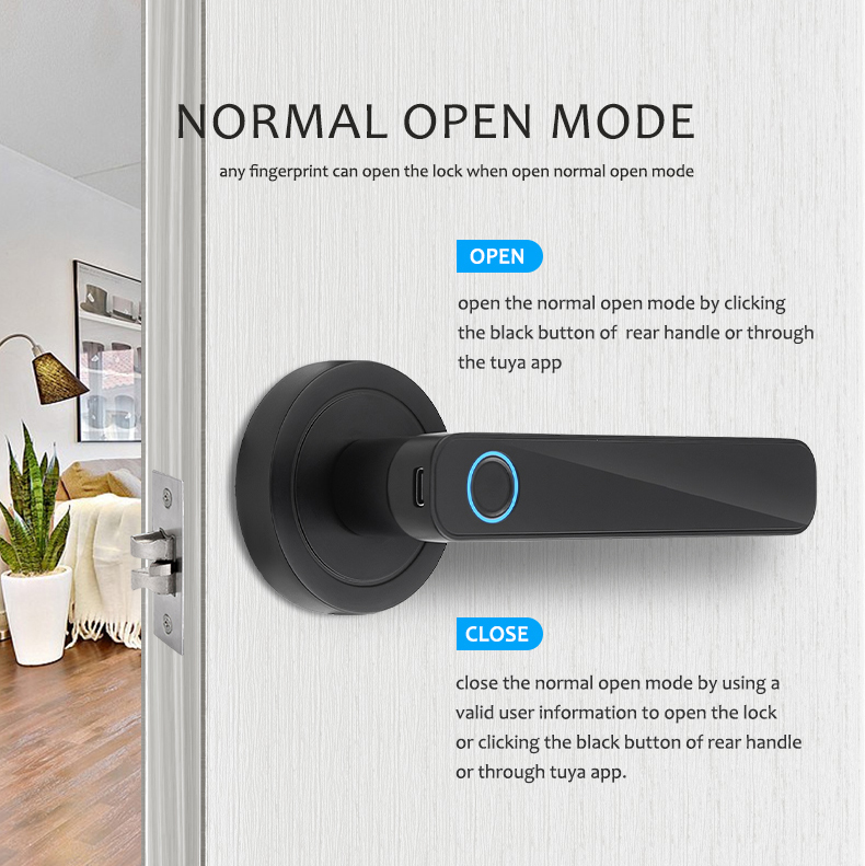WF-F3 passage-mode setting diagram