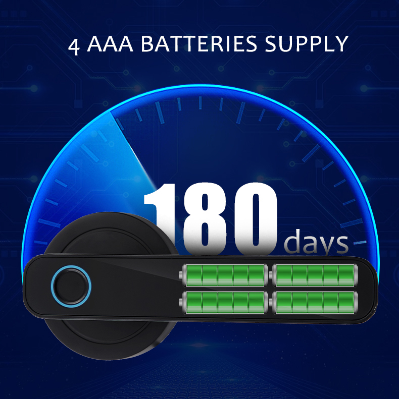 WF-F3 4 × AAA batteries 180-day life
