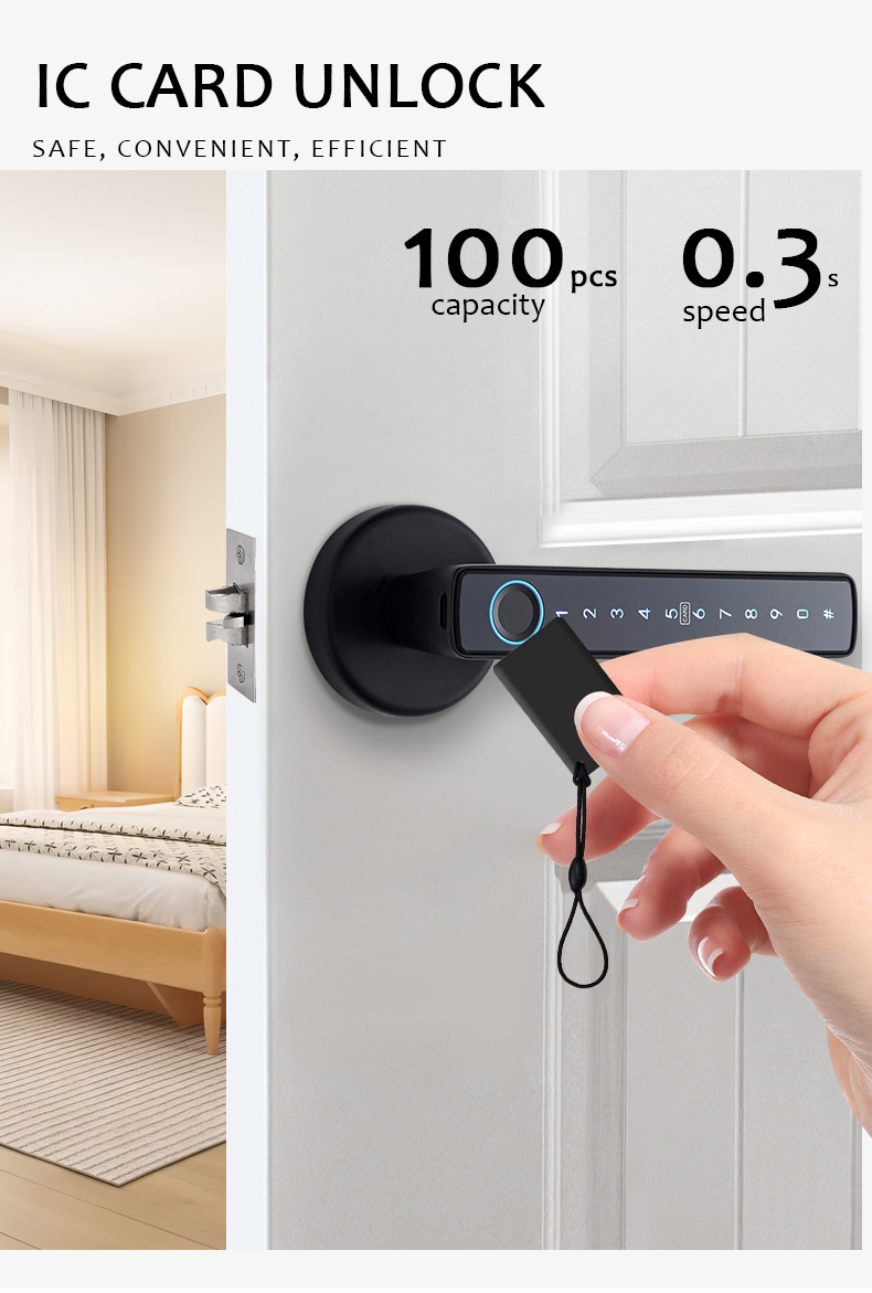 WF-F6 IC card 100 pcs 0.3s recognition