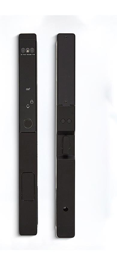 WF-021 Full-Auto 3D Face and Palm Vein Aluminum Door Lock