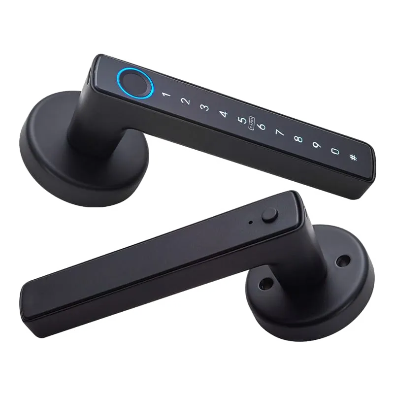 WF-F6 fingerprint handle lock