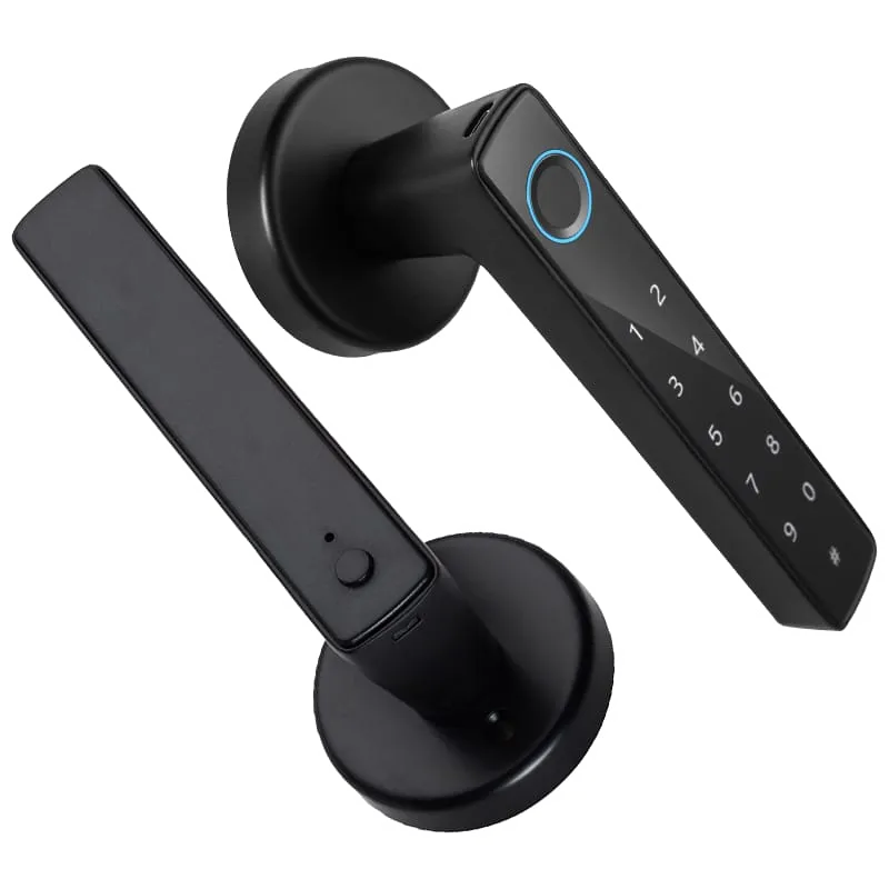 WF-F8 fingerprint handle lock without exposed panel
